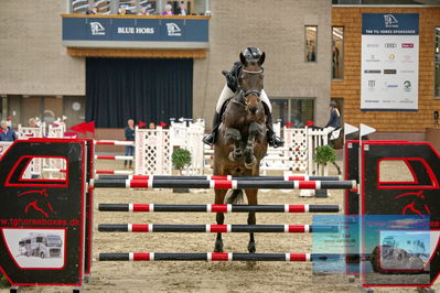 Blue Hors
6 års finale spring
Keywords: christel may-worre;dietmar vh dwb