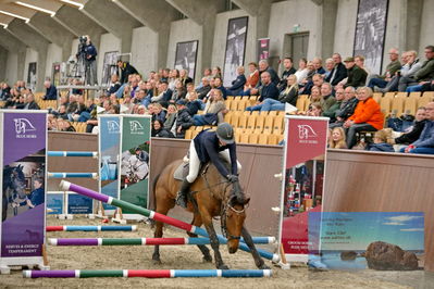 Blue Hors
6 års finale spring
Keywords: luna ask;louise stensvang;styrt