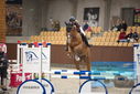 Filename=PT9_5720.JPG
Filesize=309KiB
Dimensions=1224x817
Date added=Oct 14, 2022 PT9_5720.JPG
