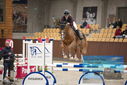 Filename=PT9_5721.JPG
Filesize=320KiB
Dimensions=1224x817
Date added=Oct 14, 2022 PT9_5721.JPG