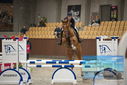 Filename=PT9_5747.JPG
Filesize=308KiB
Dimensions=1224x817
Date added=Oct 14, 2022 PT9_5747.JPG