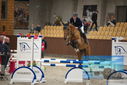 Filename=PT9_5752.JPG
Filesize=288KiB
Dimensions=1224x817
Date added=Oct 14, 2022 PT9_5752.JPG