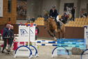 Filename=PT9_5753.JPG
Filesize=330KiB
Dimensions=1224x817
Date added=Oct 14, 2022 PT9_5753.JPG
