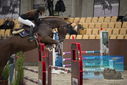 Filename=PT9_5759.JPG
Filesize=302KiB
Dimensions=1224x817
Date added=Oct 14, 2022 PT9_5759.JPG