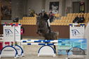 Filename=PT9_5770.JPG
Filesize=313KiB
Dimensions=1224x817
Date added=Oct 14, 2022 PT9_5770.JPG