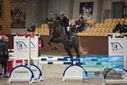 Filename=PT9_5771.JPG
Filesize=304KiB
Dimensions=1224x817
Date added=Oct 14, 2022 PT9_5771.JPG