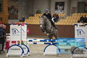 Filename=PT9_5782.JPG
Filesize=323KiB
Dimensions=1224x817
Date added=Oct 14, 2022 PT9_5782.JPG