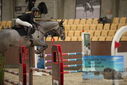 Filename=PT9_5786.JPG
Filesize=291KiB
Dimensions=1224x817
Date added=Oct 14, 2022 PT9_5786.JPG