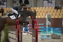 Filename=PT9_5791.JPG
Filesize=279KiB
Dimensions=1224x817
Date added=Oct 14, 2022 PT9_5791.JPG