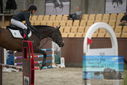 Filename=PT9_5792.JPG
Filesize=265KiB
Dimensions=1224x817
Date added=Oct 14, 2022 PT9_5792.JPG