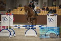 Filename=PT9_5812.JPG
Filesize=332KiB
Dimensions=1224x817
Date added=Oct 14, 2022 PT9_5812.JPG