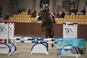 Filename=PT9_5828.JPG
Filesize=319KiB
Dimensions=1224x817
Date added=Oct 14, 2022 PT9_5828.JPG