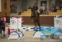 Filename=PT9_5854.JPG
Filesize=322KiB
Dimensions=1224x817
Date added=Oct 14, 2022 PT9_5854.JPG