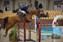 Filename=PT9_5864.JPG
Filesize=344KiB
Dimensions=1224x817
Date added=Oct 14, 2022 PT9_5864.JPG