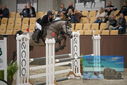 Filename=PT9_5874.JPG
Filesize=321KiB
Dimensions=1224x817
Date added=Oct 14, 2022 PT9_5874.JPG