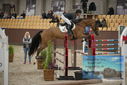 Filename=PT9_5878.JPG
Filesize=349KiB
Dimensions=1224x817
Date added=Oct 14, 2022 PT9_5878.JPG