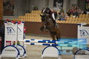 Filename=PT9_5892.JPG
Filesize=309KiB
Dimensions=1224x817
Date added=Oct 14, 2022 PT9_5892.JPG