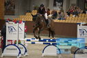 Filename=PT9_5893.JPG
Filesize=319KiB
Dimensions=1224x817
Date added=Oct 14, 2022 PT9_5893.JPG
