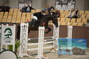 Filename=PT9_5900.JPG
Filesize=337KiB
Dimensions=1224x817
Date added=Oct 14, 2022 PT9_5900.JPG