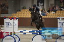 Filename=PT9_5905.JPG
Filesize=288KiB
Dimensions=1224x817
Date added=Oct 14, 2022 PT9_5905.JPG