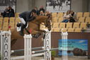 Filename=PT9_5913.JPG
Filesize=287KiB
Dimensions=1224x817
Date added=Oct 14, 2022 PT9_5913.JPG