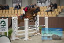 Filename=PT9_5919.JPG
Filesize=342KiB
Dimensions=1224x817
Date added=Oct 14, 2022 PT9_5919.JPG