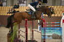 Filename=PT9_5930.JPG
Filesize=337KiB
Dimensions=1224x817
Date added=Oct 14, 2022 PT9_5930.JPG