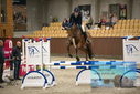 Filename=PT9_5932.JPG
Filesize=360KiB
Dimensions=1224x817
Date added=Oct 14, 2022 PT9_5932.JPG