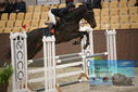 Filename=PT9_5938.JPG
Filesize=339KiB
Dimensions=1224x817
Date added=Oct 14, 2022 PT9_5938.JPG