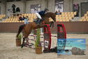 Filename=PT9_5945.JPG
Filesize=369KiB
Dimensions=1224x817
Date added=Oct 14, 2022 PT9_5945.JPG