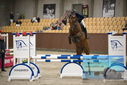 Filename=PT9_5946.JPG
Filesize=341KiB
Dimensions=1224x817
Date added=Oct 14, 2022 PT9_5946.JPG
