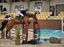 Filename=PT9_5956.JPG
Filesize=835KiB
Dimensions=1005x748
Date added=Oct 14, 2022 PT9_5956.JPG