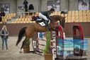 Filename=PT9_5973.JPG
Filesize=353KiB
Dimensions=1224x817
Date added=Oct 14, 2022 PT9_5973.JPG