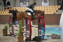 Filename=PT9_5974.JPG
Filesize=356KiB
Dimensions=1224x817
Date added=Oct 14, 2022 PT9_5974.JPG