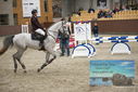 Filename=PT9_5980.JPG
Filesize=370KiB
Dimensions=1224x817
Date added=Oct 14, 2022 PT9_5980.JPG