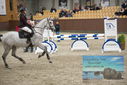 Filename=PT9_5981.JPG
Filesize=367KiB
Dimensions=1224x817
Date added=Oct 14, 2022 PT9_5981.JPG