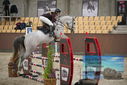 Filename=PT9_5982.JPG
Filesize=339KiB
Dimensions=1224x817
Date added=Oct 14, 2022 PT9_5982.JPG