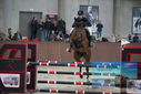 Filename=PT9_6044.JPG
Filesize=330KiB
Dimensions=1224x817
Date added=Oct 14, 2022 PT9_6044.JPG