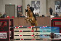 Filename=PT9_6052.JPG
Filesize=339KiB
Dimensions=1224x817
Date added=Oct 14, 2022 PT9_6052.JPG
