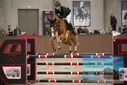 Filename=PT9_6053.JPG
Filesize=335KiB
Dimensions=1224x817
Date added=Oct 14, 2022 PT9_6053.JPG