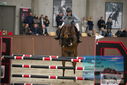 Filename=PT9_6117.JPG
Filesize=321KiB
Dimensions=1224x817
Date added=Oct 14, 2022 PT9_6117.JPG