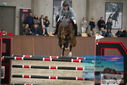 Filename=PT9_6118.JPG
Filesize=320KiB
Dimensions=1224x817
Date added=Oct 14, 2022 PT9_6118.JPG