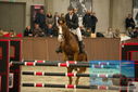 Filename=PT9_6126.JPG
Filesize=330KiB
Dimensions=1224x817
Date added=Oct 14, 2022 PT9_6126.JPG