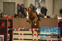 Filename=PT9_6127.JPG
Filesize=311KiB
Dimensions=1224x817
Date added=Oct 14, 2022 PT9_6127.JPG
