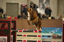 Filename=PT9_6128.JPG
Filesize=318KiB
Dimensions=1224x817
Date added=Oct 14, 2022 PT9_6128.JPG