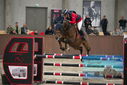 Filename=PT9_6146.JPG
Filesize=337KiB
Dimensions=1224x817
Date added=Oct 14, 2022 PT9_6146.JPG