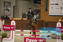 Filename=PT9_6159.JPG
Filesize=313KiB
Dimensions=1224x817
Date added=Oct 14, 2022 PT9_6159.JPG