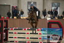 Filename=PT9_6175.JPG
Filesize=341KiB
Dimensions=1224x817
Date added=Oct 14, 2022 PT9_6175.JPG