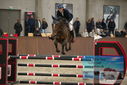 Filename=PT9_6176.JPG
Filesize=339KiB
Dimensions=1224x817
Date added=Oct 14, 2022 PT9_6176.JPG