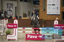 Filename=PT9_6262.JPG
Filesize=342KiB
Dimensions=1224x817
Date added=Oct 14, 2022 PT9_6262.JPG